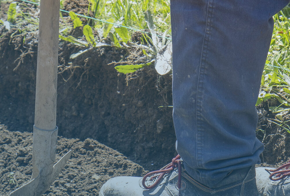 CORPO FORESTALE BENEVENTO – RIQUALIFICA AREE ESTERNE
